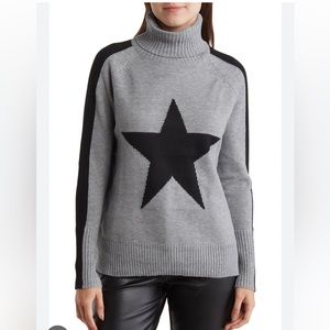 WOW Big Star Stripe Sleeve Turtleneck Sweater. Completely sold out online.